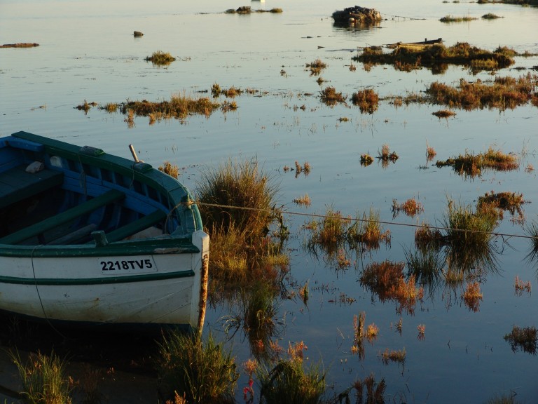 Bijna 4 miljoen euro beschikbaar voor Waddengebied