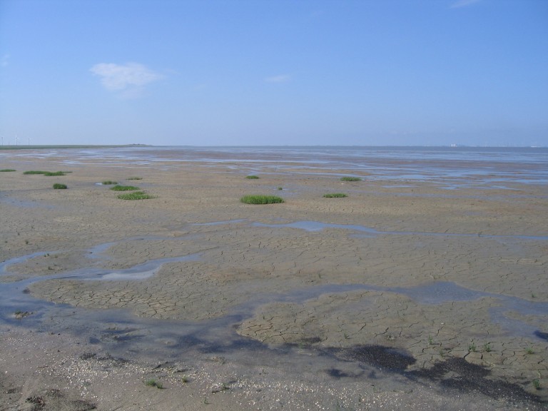 Waddenfonds: ‘500.000 euro voor verbetering Waddengebied’