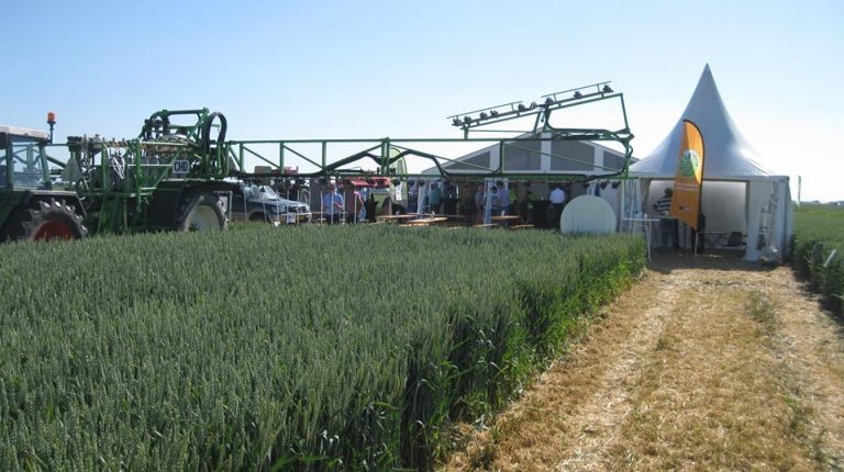 Proefboerderij Ebelsheerd houdt open dag