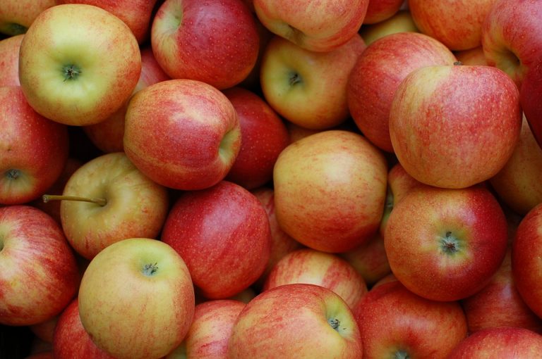 Appelfeest Groningen op laatste moment afgelast