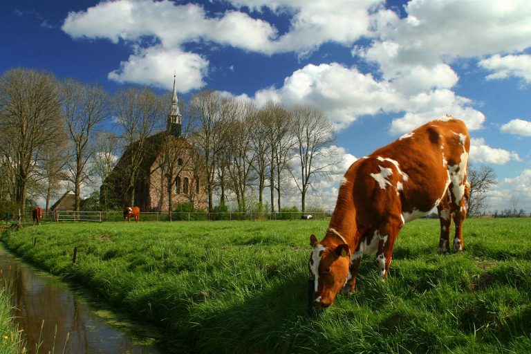 Culturele Zondag: publiekspresentatie Leesbaar Groningen