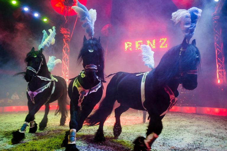 Tóch circus in Groningen